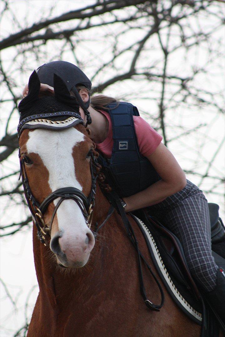 Frederiksborg Burgdorff Gucci <3 - Fordi jeg elsker dig <3 billede 1