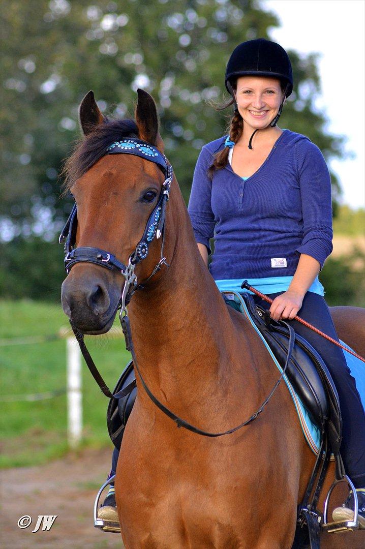 Anden særlig race Stauslykkes Le'Cato - © JW August 2011 billede 8