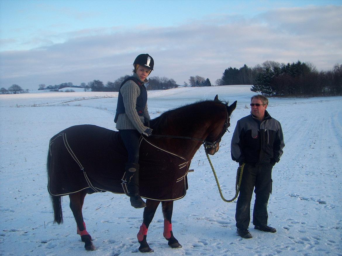 Anden særlig race Maddie "solgt" - Uden saddel 1.gang! (': billede 9