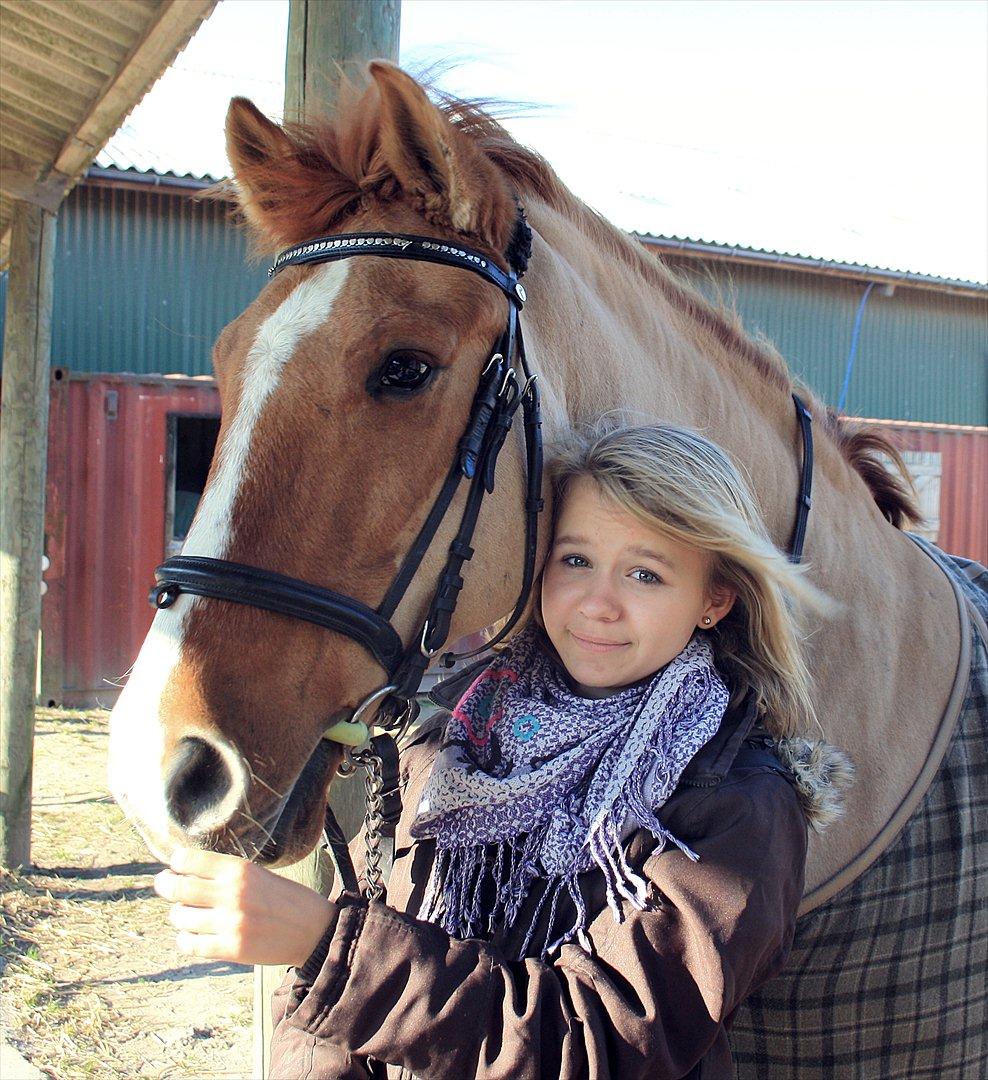 Anden særlig race Sir Thomas Ekipazas billede 2