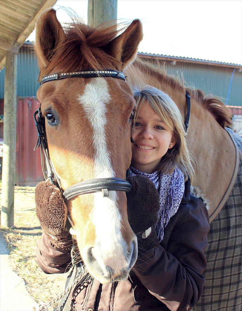 Anden særlig race Sir Thomas Ekipazas billede 17