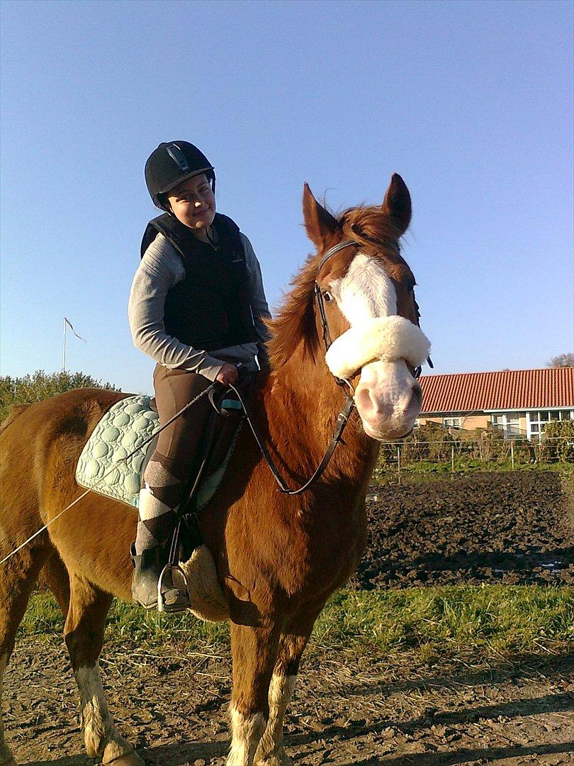 DSP Monty. <3  - Søde søde Monty. :))) billede 12