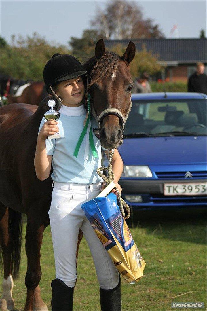 Anden særlig race Ibrahim <3<3<3 solgt billede 19