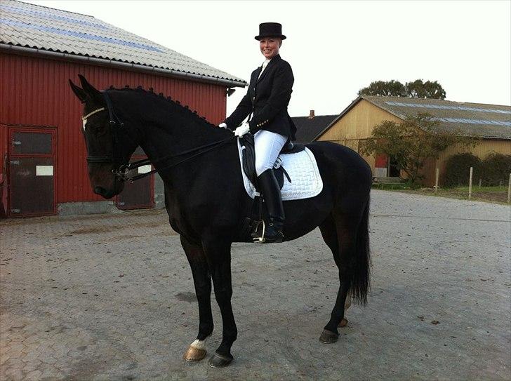 Dansk Varmblod Møllegårdens Cappuccino (Båt) - Båt og jeg på vej ind og ride MB0. Det er vores første middelsvær til et C stævne og jeg er lidt nervøs. billede 15