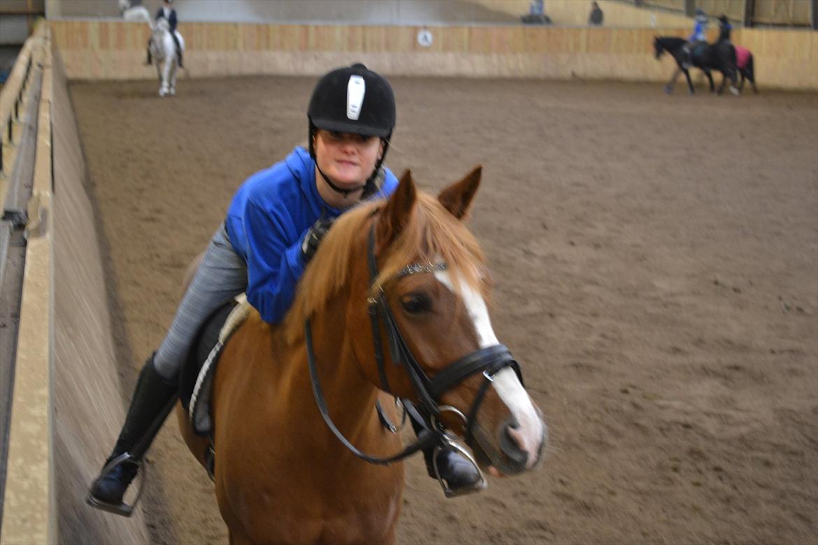 Anden særlig race Thunder Boy - Jeg elsker dig<3.. billede 5