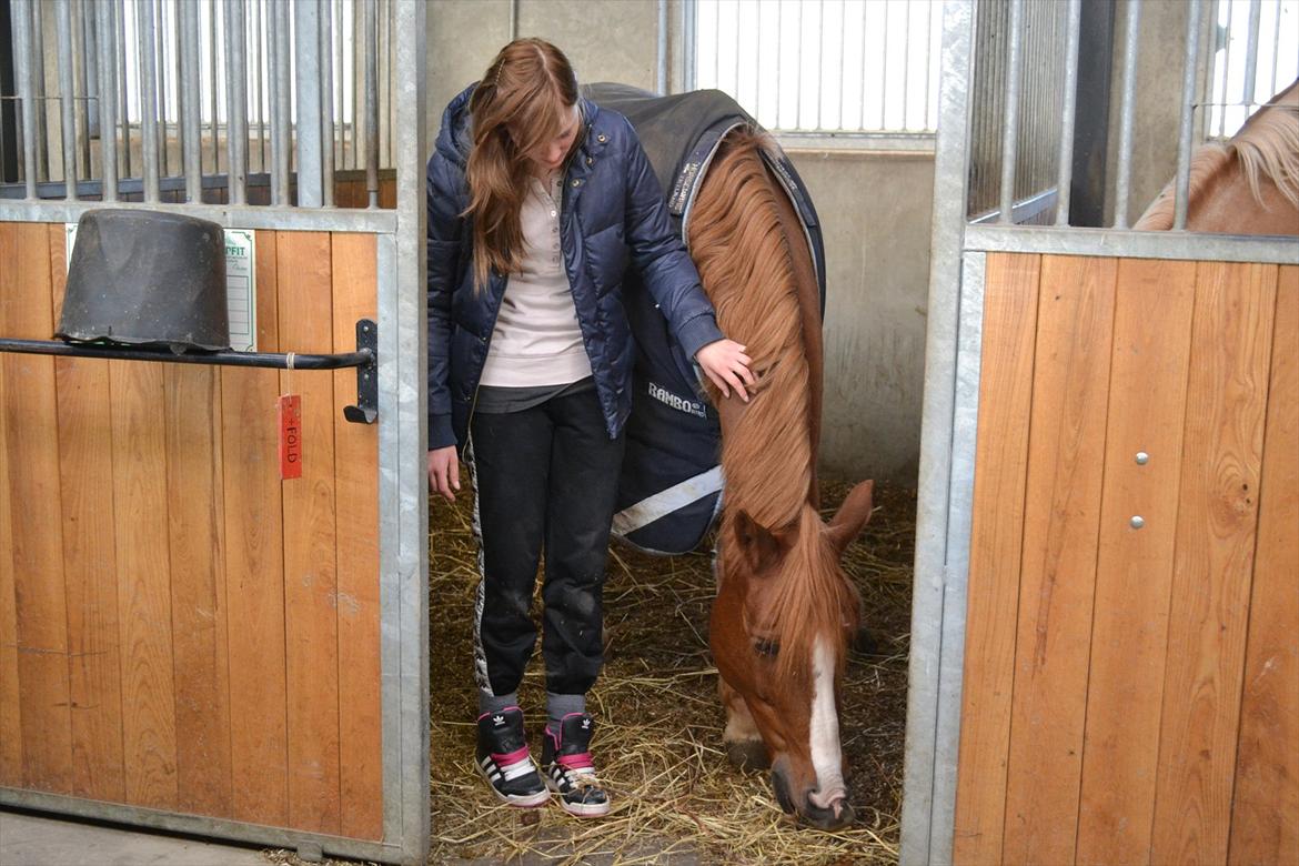 Anden særlig race Thunder Boy - Hygge..:-) billede 6