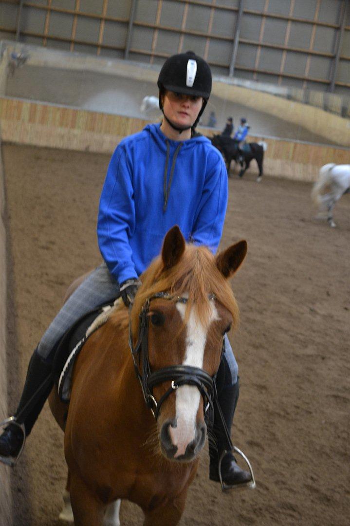 Anden særlig race Thunder Boy billede 11