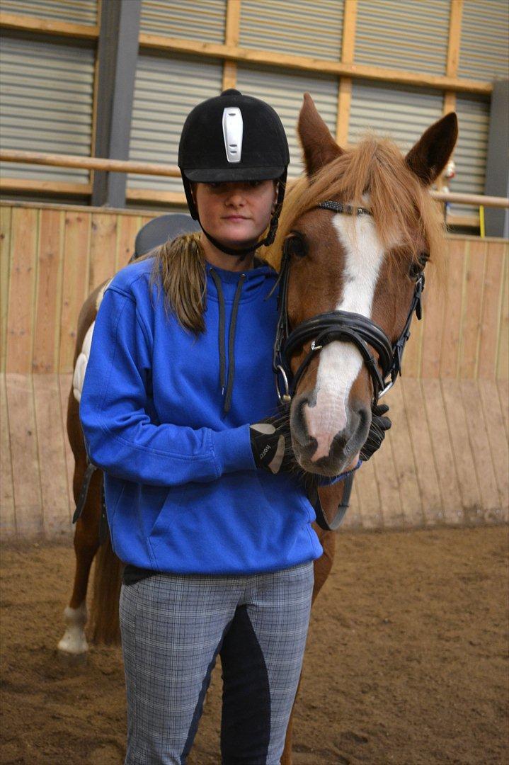 Anden særlig race Thunder Boy billede 12