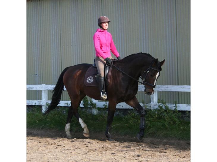 {{currentPhoto.altText}} billede {{currentPhoto.number}}