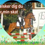 New Forest bingo børge