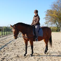 Oldenborg Bakkegaards Smilla