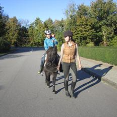 Anden særlig race Mr. Amarni Black Code