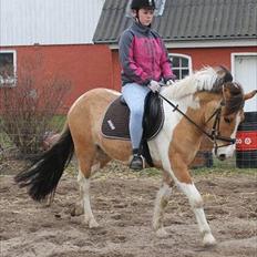 Anden særlig race Sigurd :)