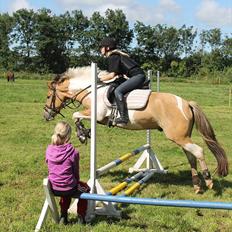 Anden særlig race Sigurd :)