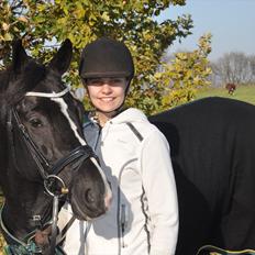 DSP Pomeroll SPH 189