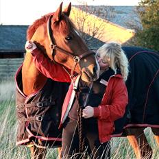 Frederiksborg Rigel af Vestergård