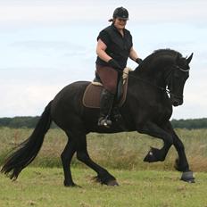 Frieser Koop fant Sudein