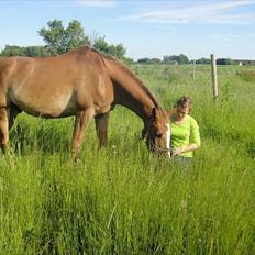 Anden særlig race Harlekin