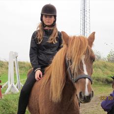 New Forest Elhøjgårda Ciane