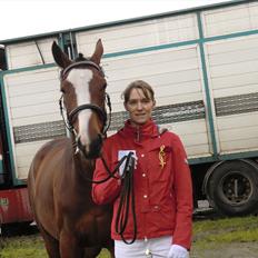 Fuldblod (XX) Competence (DEN)