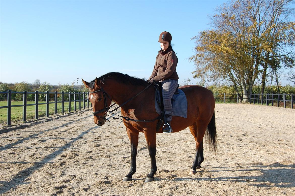 Oldenborg Bakkegaards Smilla billede 2