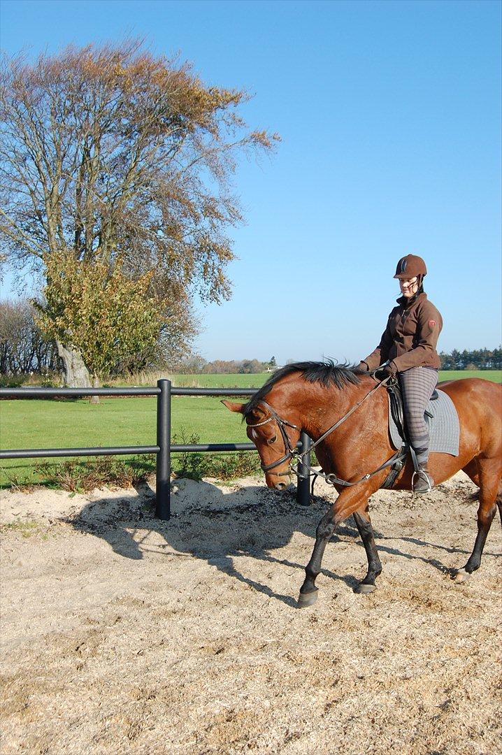 Oldenborg Bakkegaards Smilla billede 9