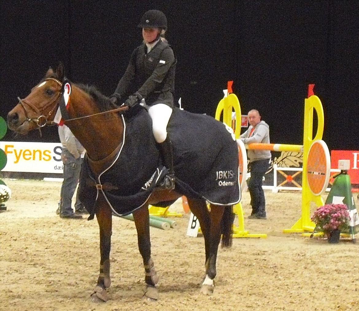 Hollandsk Varmblod Telrite (Rita) - Vinder af LA** til JBK billede 9