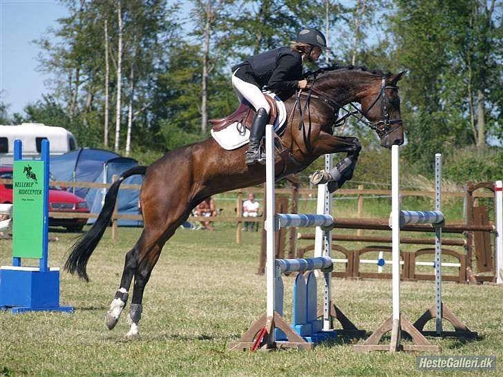 Anden særlig race Manuela  - den mb var den sidste vi skulle have, og du gik nul og du blev B-pony. billede 3