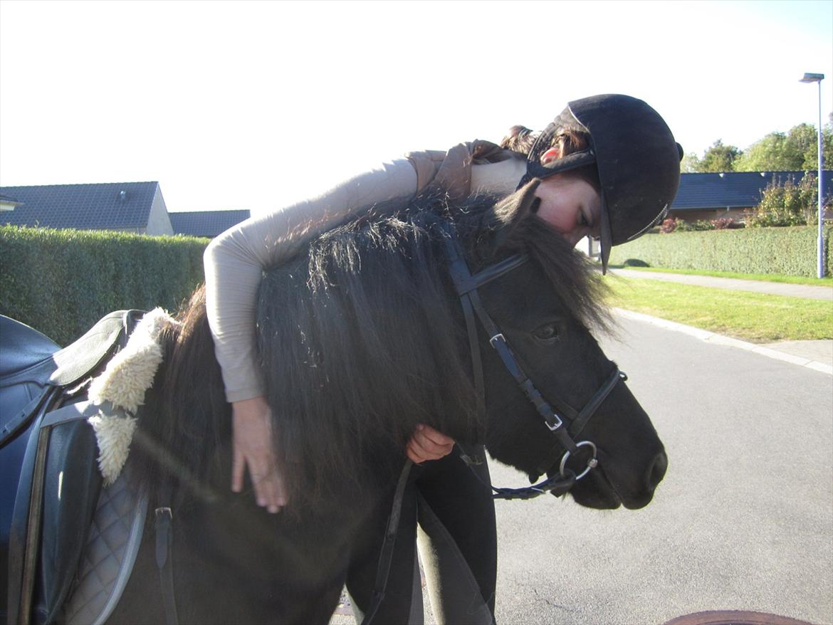 Anden særlig race Mr. Amarni Black Code billede 5