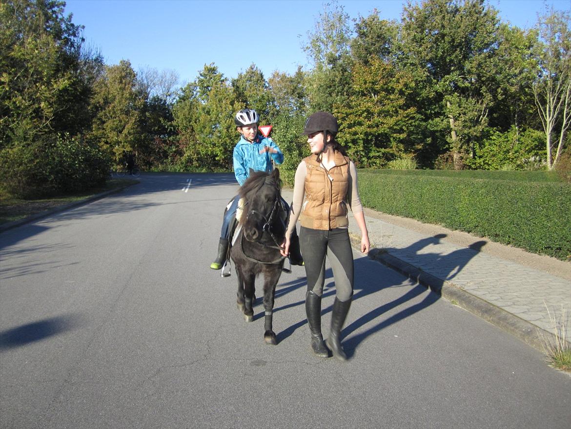 Anden særlig race Mr. Amarni Black Code billede 2