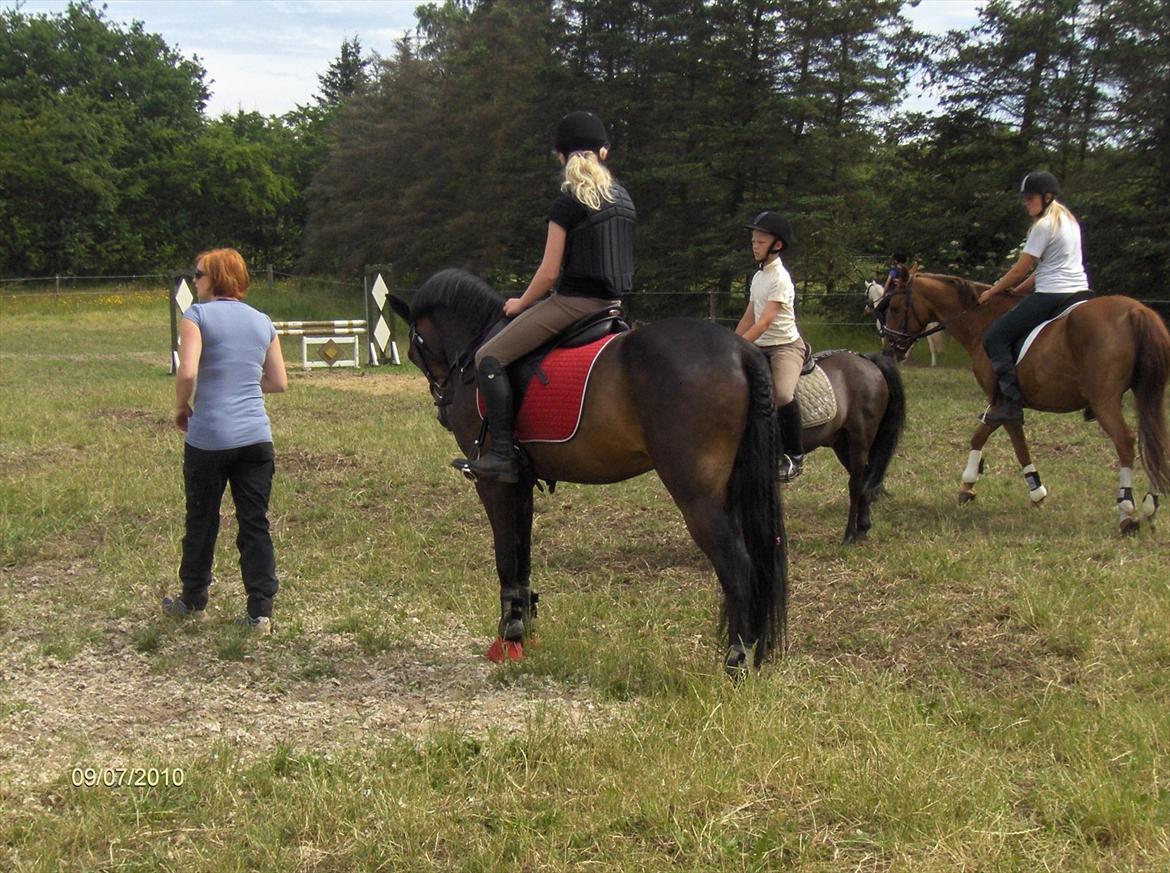 New Forest Sky Jumper <3  SOLGT! <3 Tidligere pony<3 - Rytterlejr i nørresnede i 2010 :-D <3 <3  billede 12