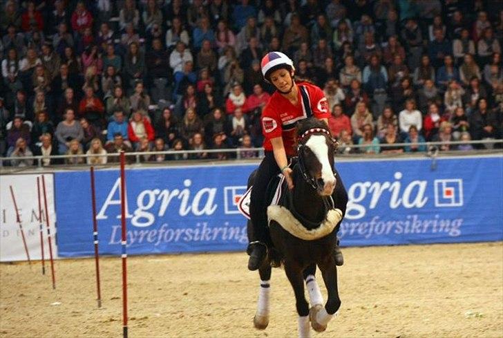 Norsk Sportspony Flying Amy - vindere af Oslo Horse Show!! <3 
Perfekt afslutning på 2011.  billede 18