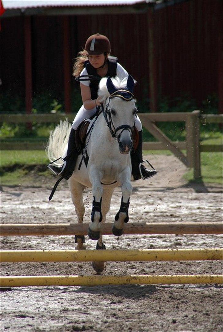 Anden særlig race Simba (part) - hvor du sød<3 havde kun haft part på hende i en måneder der! billede 10