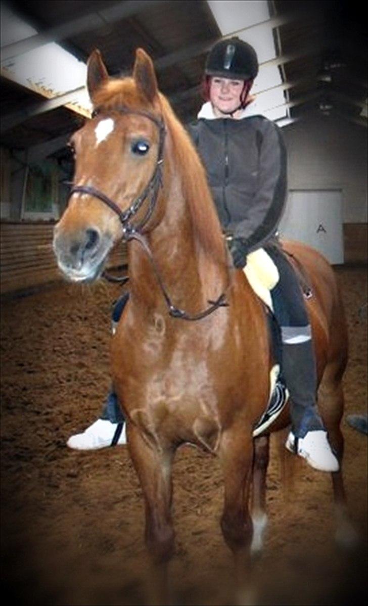 Anden særlig race Alvin - Det der gør livet værd at leve <3 - Men I Drømmelegen
finder Vi To Vejen Ud Mod Nye Eventyr
under Stjernerne På Himlen, Sejler Du Med Mig
luk Nu Stille Dine Øjne, Så Er Vi På Vej
vi Sejler Over Vandet Og Ind I Drømmelandet, Du Og Jeg billede 15