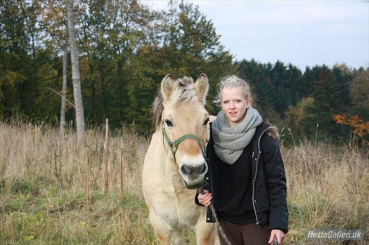 Fjordhest Raca | tidl. part | •R.I.P.• altid elsket - du betyder så meget for mig!:') 
Ingen vil nogensinde kunne erstatte det du betyder for mig!<3.
//Foto: Frederikke billede 8