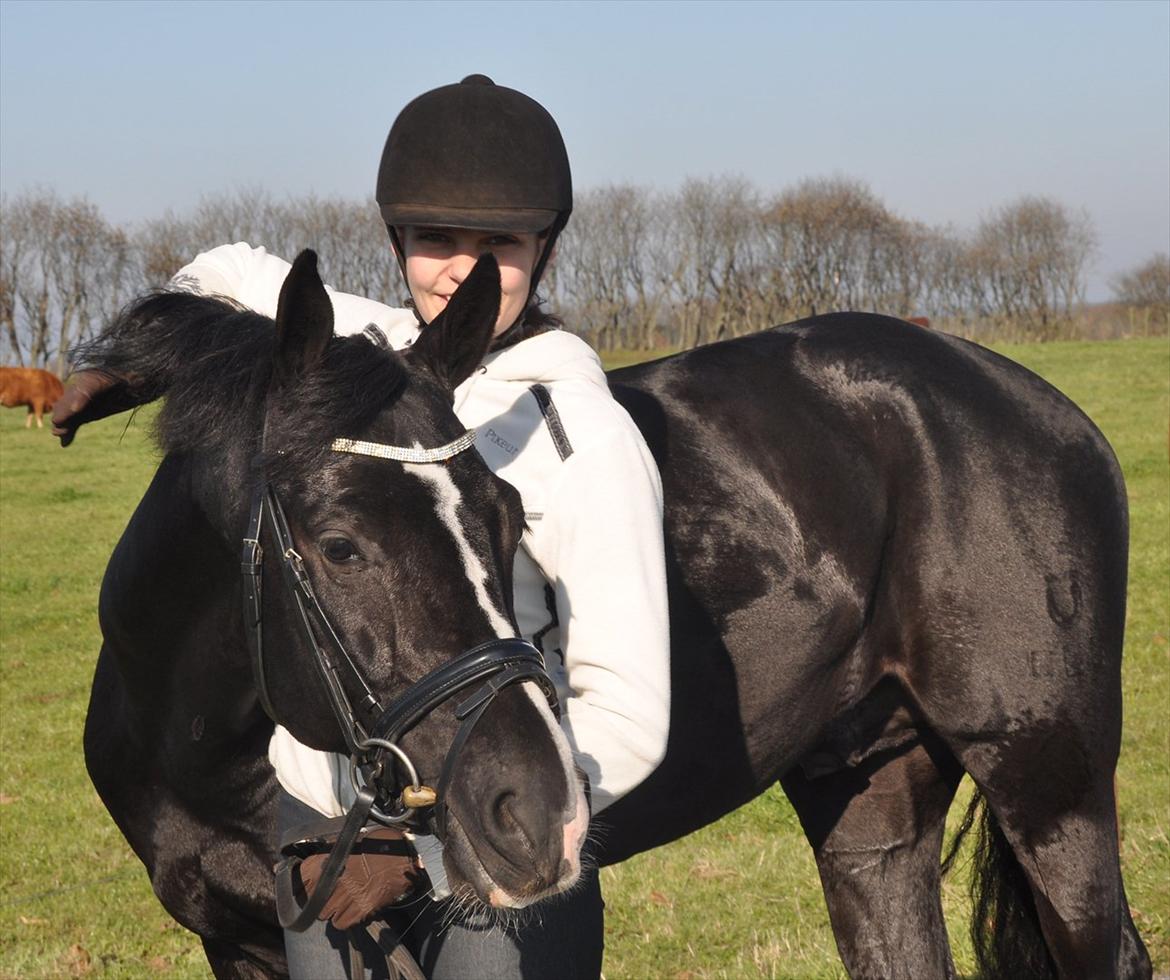 DSP Pomeroll SPH 189 billede 9