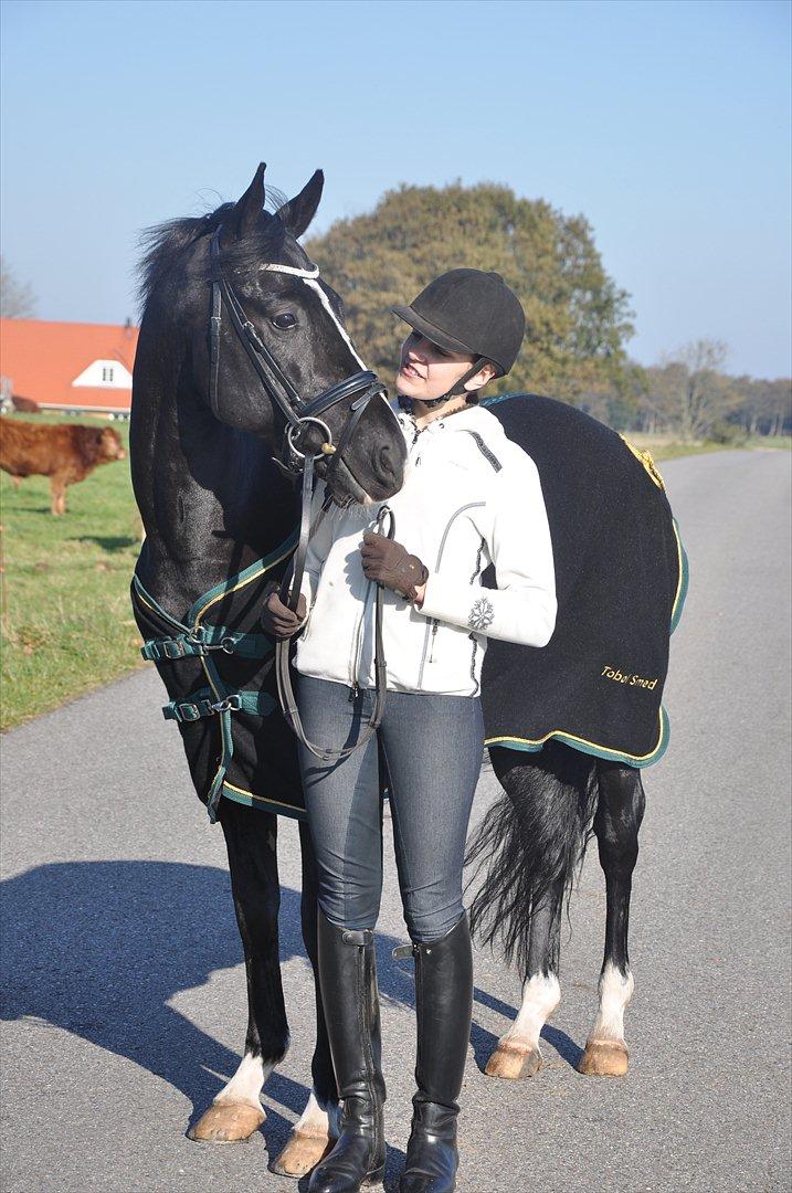 DSP Pomeroll SPH 189 billede 11