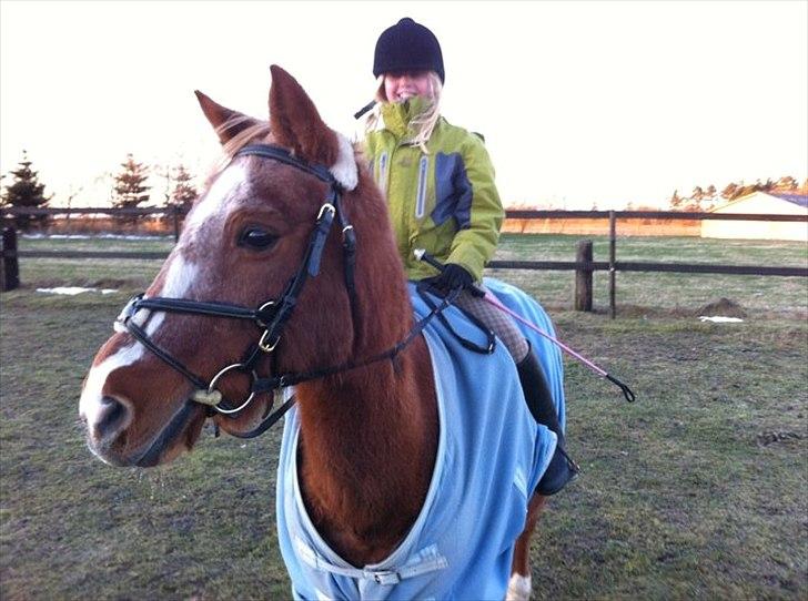 Anden særlig race Steffengårdens Nanny - //5 Nanny med sin tidl. part på 10 år, så sød og kærlig! :-D billede 5