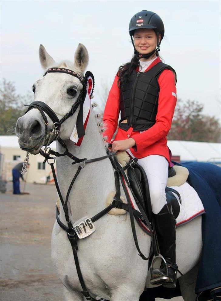 Hollandsk Sportspony Amigo A-pony - JBK horse show 2011 billede 8