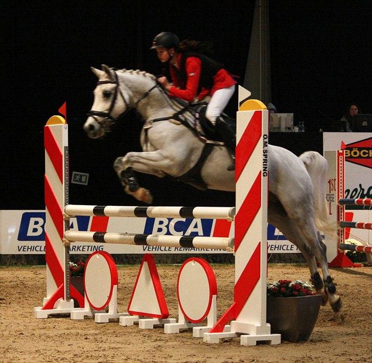 Hollandsk Sportspony Amigo A-pony - JBK horse show 2011 billede 9