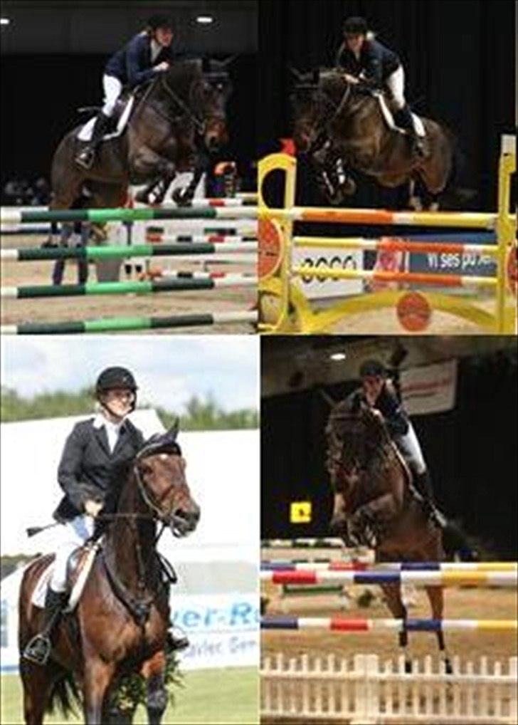 Dansk Varmblod Chagall Cornett -ViNDER DM 2012- billede 19