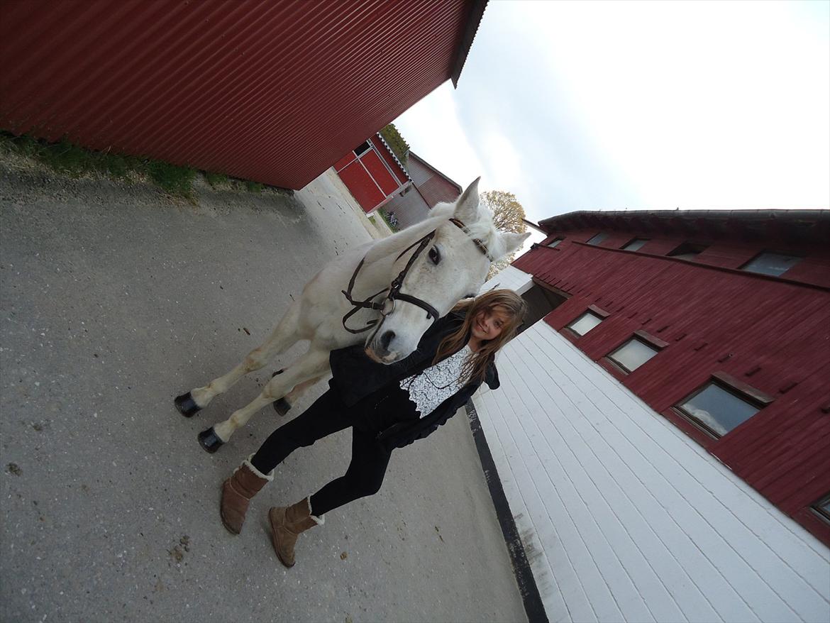 Anden særlig race Simba (part) - mig og simba som models billede 12