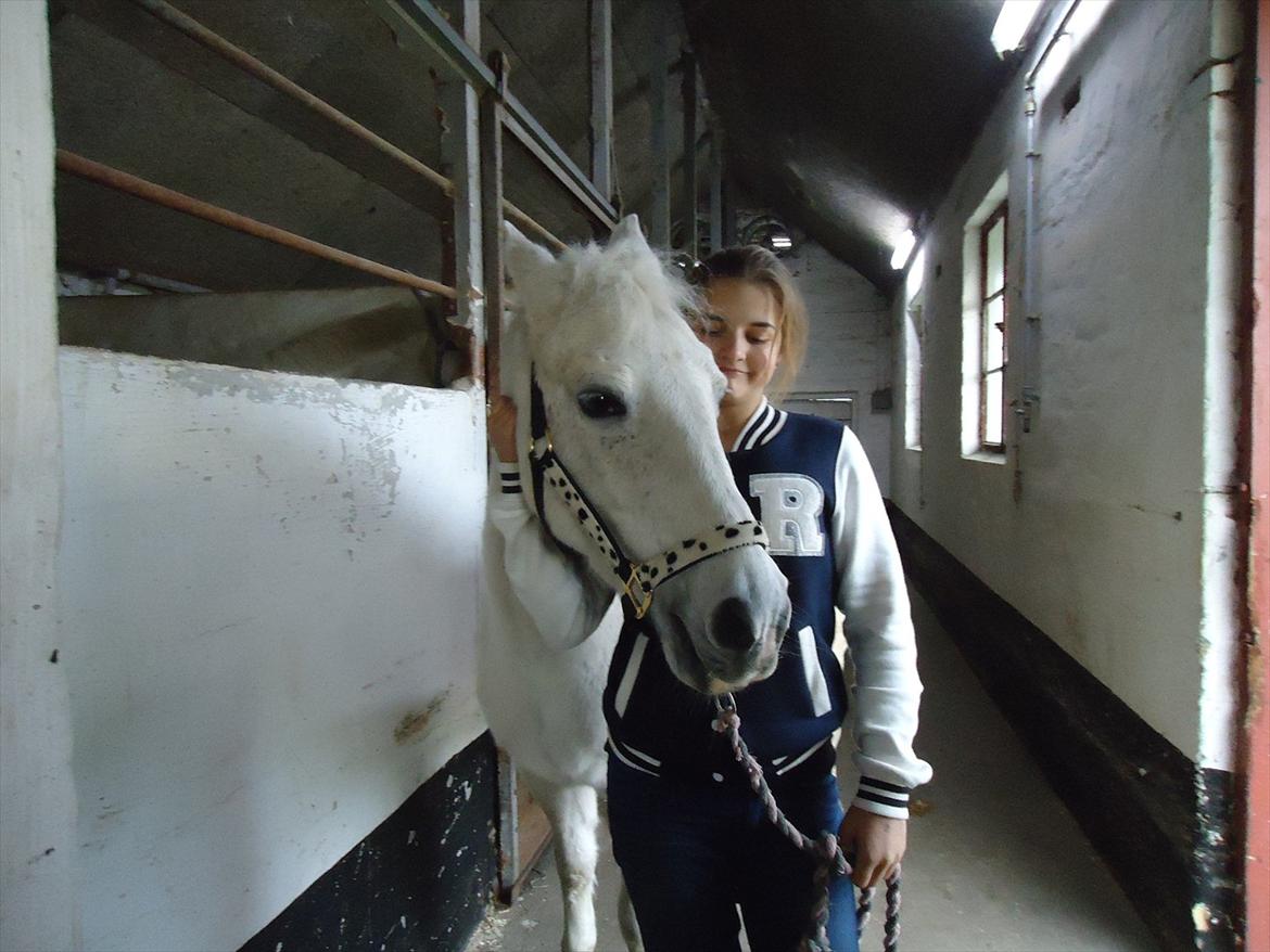 Anden særlig race Simba (part) - Emilia og simmer<3 foto: mig
 billede 16