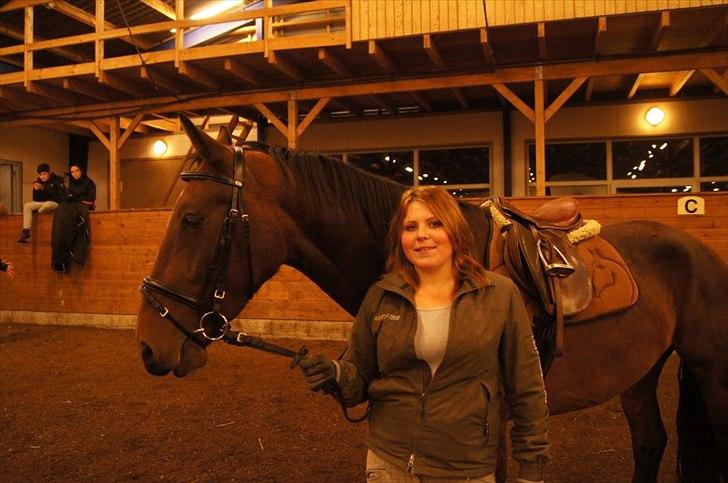 Hollandsk Varmblod KWPN † Cea † - 6) efter vores første ridetur :) som gik ogdt selvom der var lidt hop osv :)
 billede 8