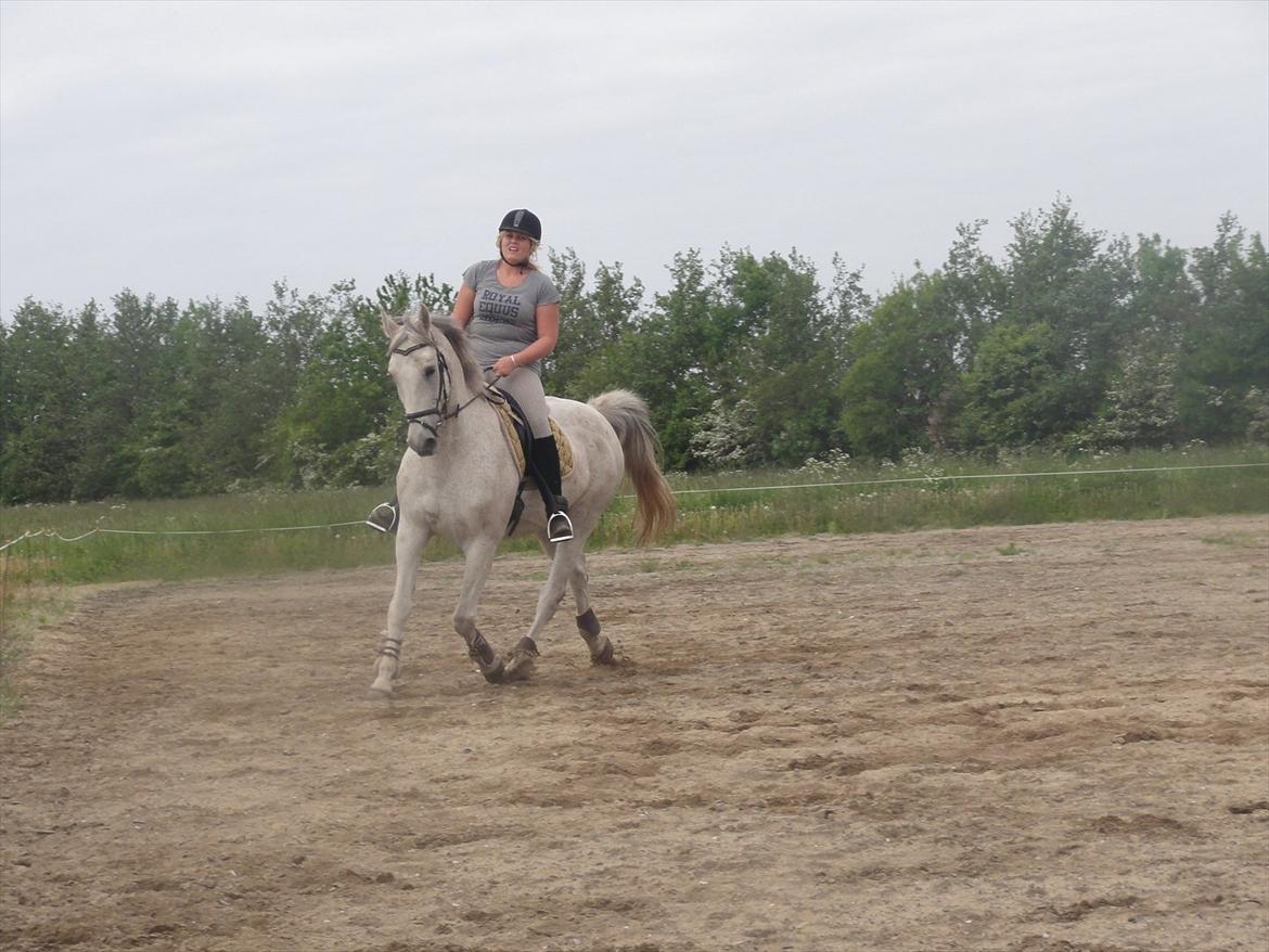Anden særlig race Prins - ikke kigge på mig :-D hahahaha billede 18