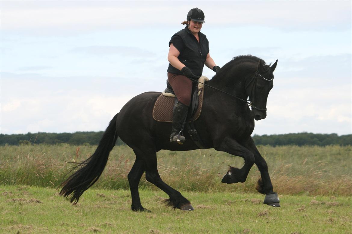 Frieser Koop fant Sudein - kooper springer godt igennem i galop. ;-) billede 1