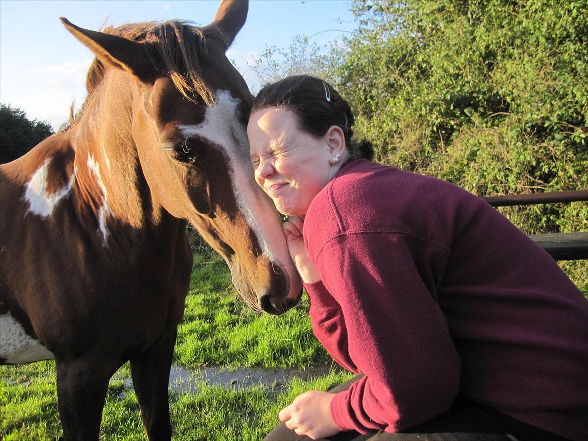 Pinto Sasha billede 12