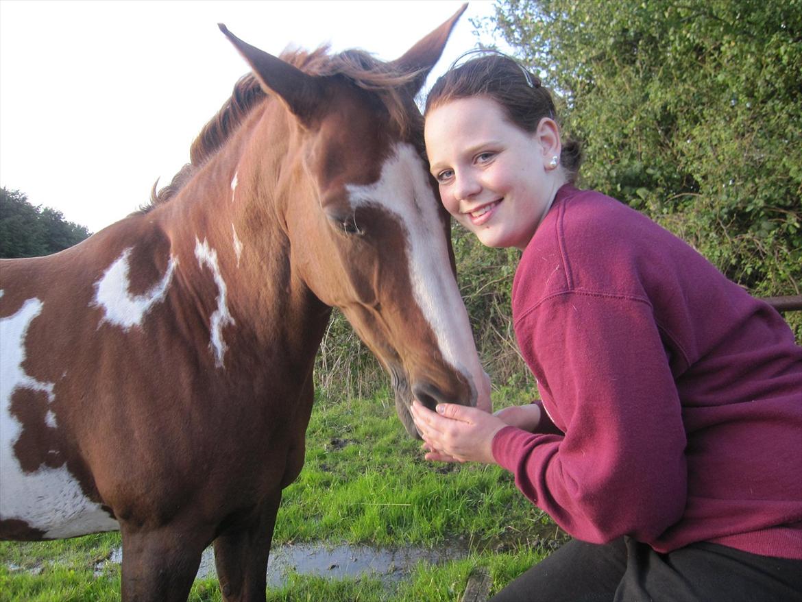 Pinto Sasha billede 8