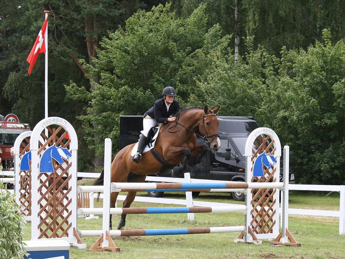 Dansk Varmblod Cias Moonlight - Jysk Rideuge 2011. Foto Mille billede 3