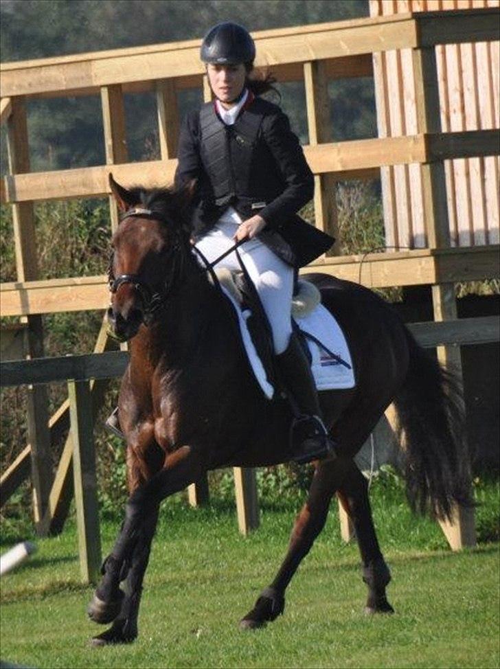 New Forest Lundgaards Kahlua - solgt :'( billede 17